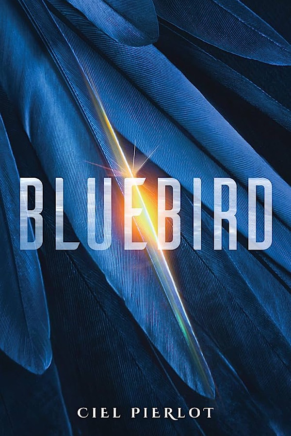 Bluebird </br> by Ciel Pierlot