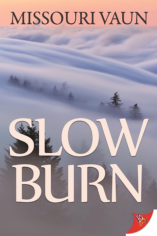 Slow Burn </br> by Missouri Vaun