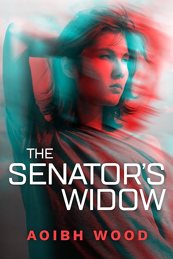 The Senator's Widow </br> by Aoibh Wood